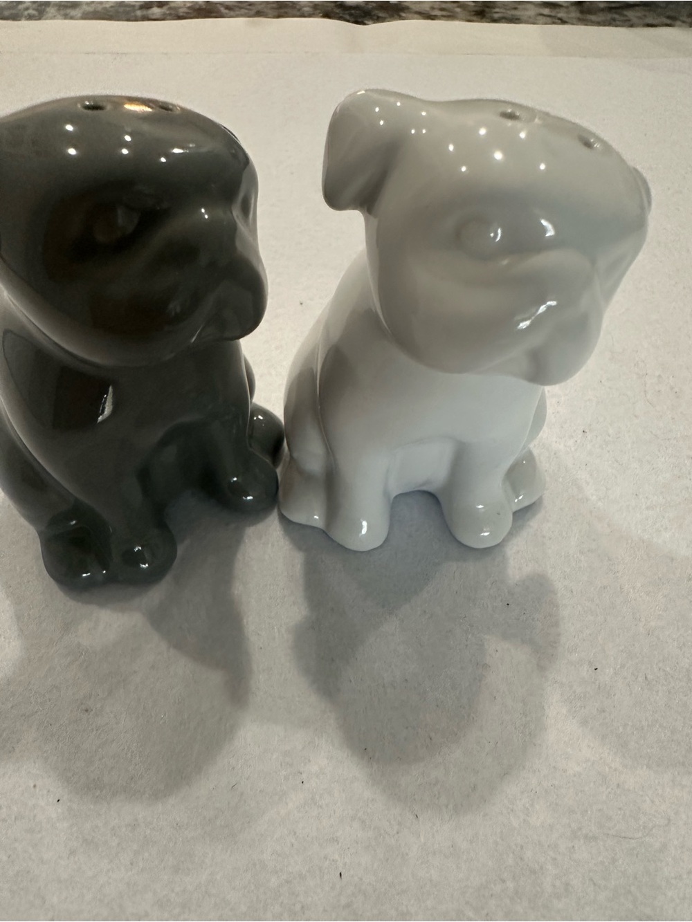 Food Network Ceramic Dog Salt & Pepper Shakers - White & Gray